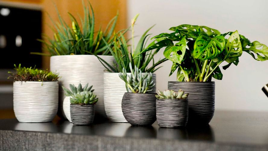 Capi Europe Indoor pot