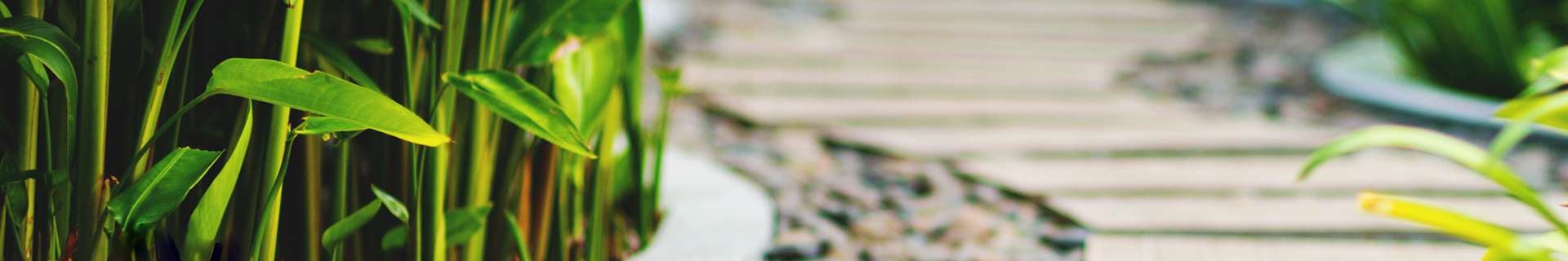 Background banner image displaying Roundup product.