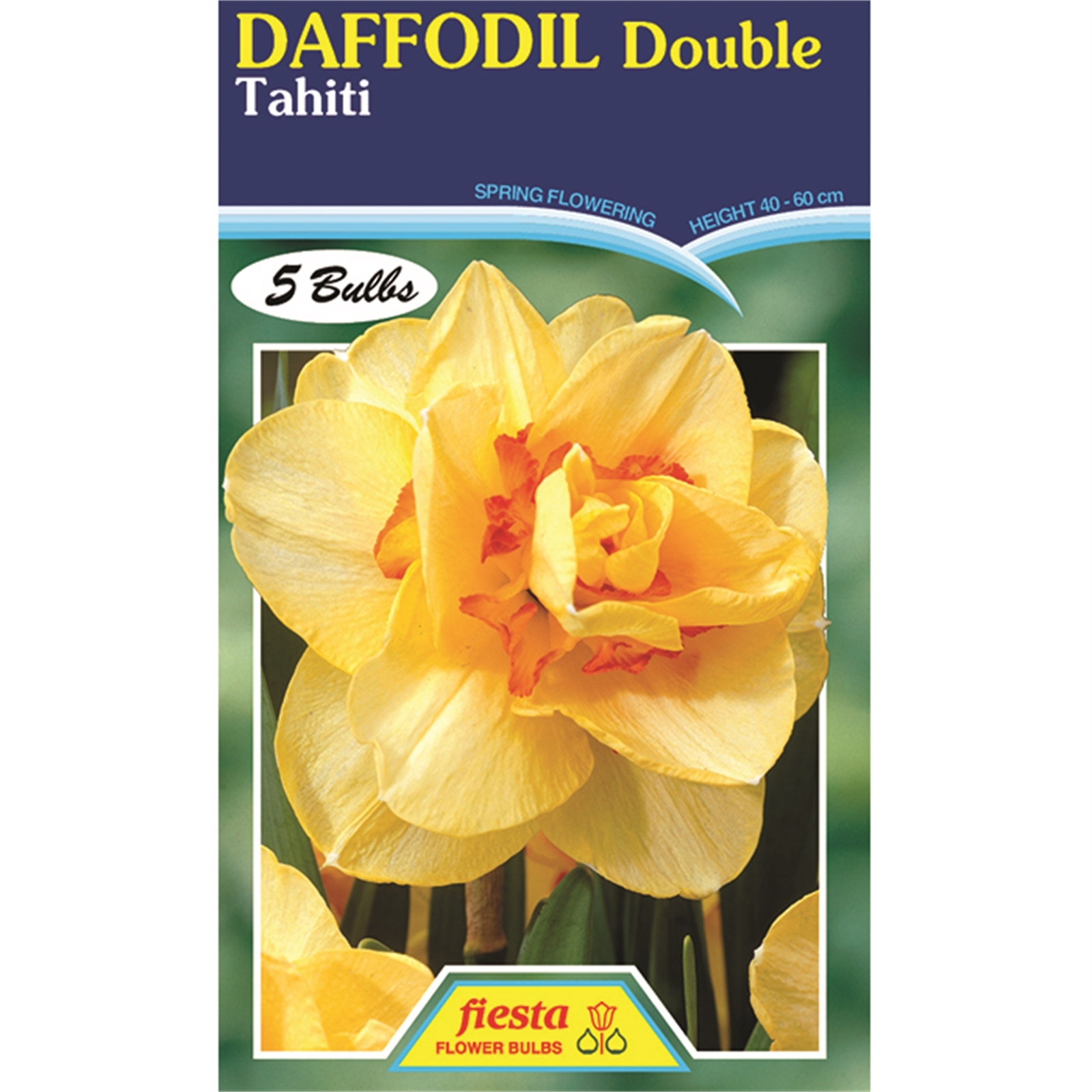 Daffodil Tahiti - 5 Bulbs - Bunnings New Zealand