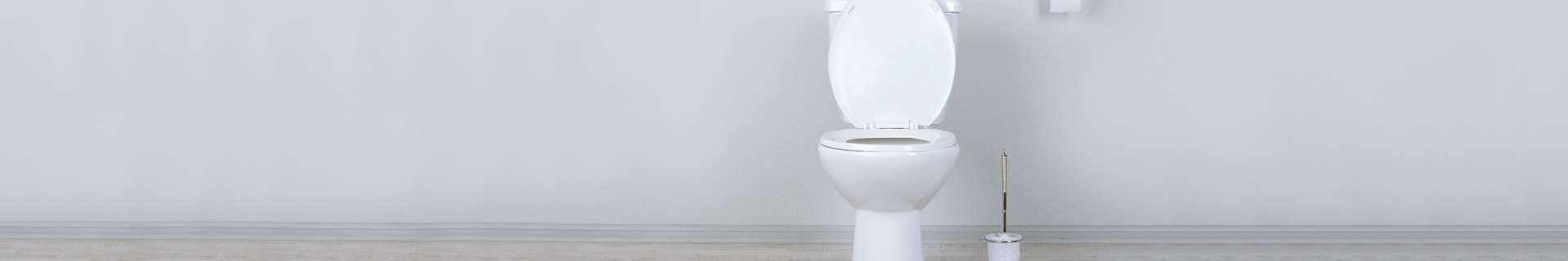 Toilet with toilet brush
