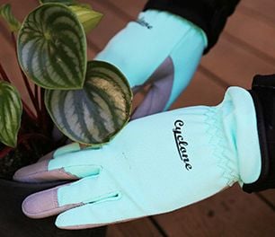 Person wearing gardening gloves planting a plant in a small pot