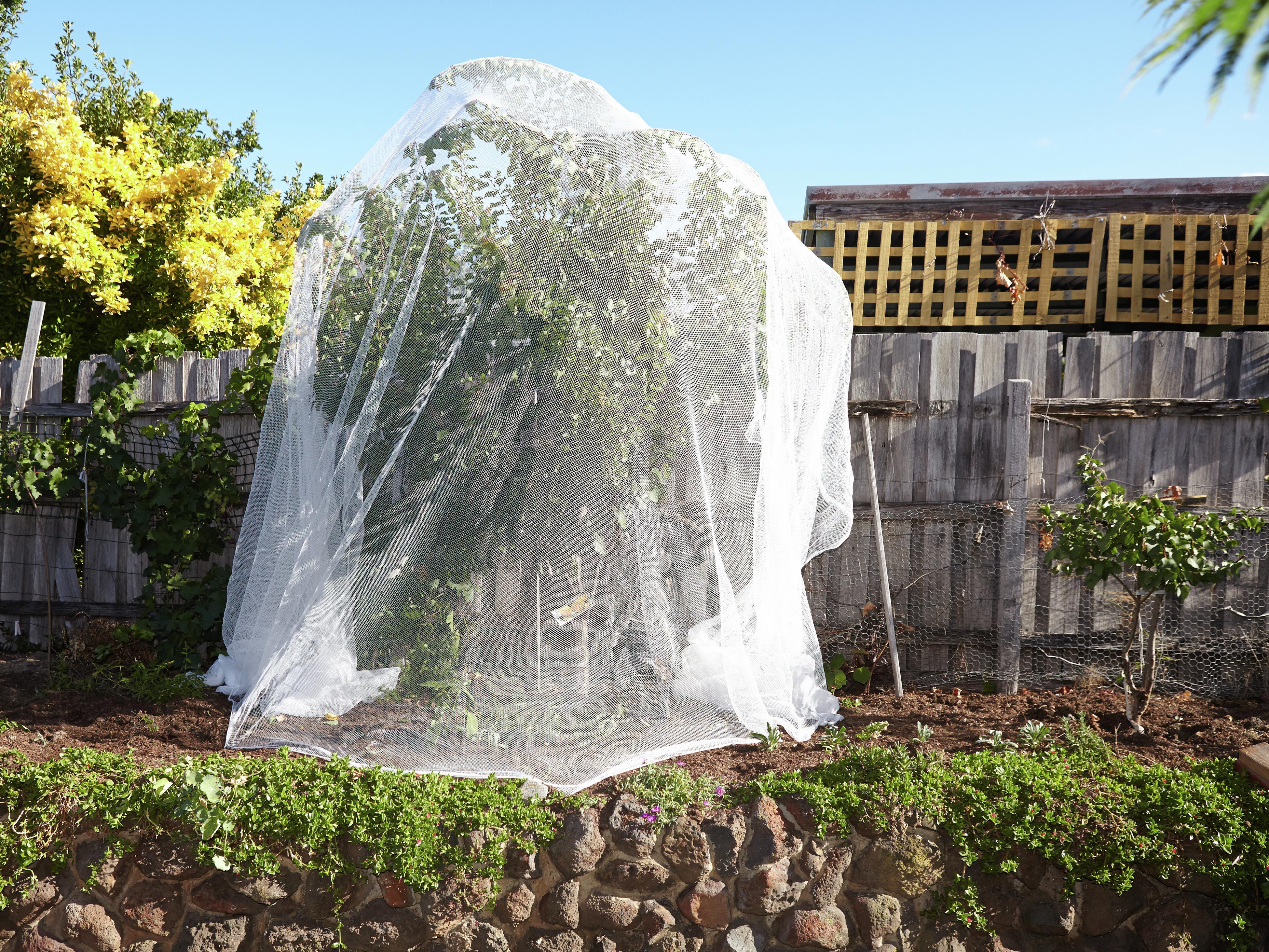 Anti-Bird Netting 7 x 16 ft Nylon Woven Garden Farm Plants Fencing Mesh  Fruits Protector Durable Fish Ponds Cover 