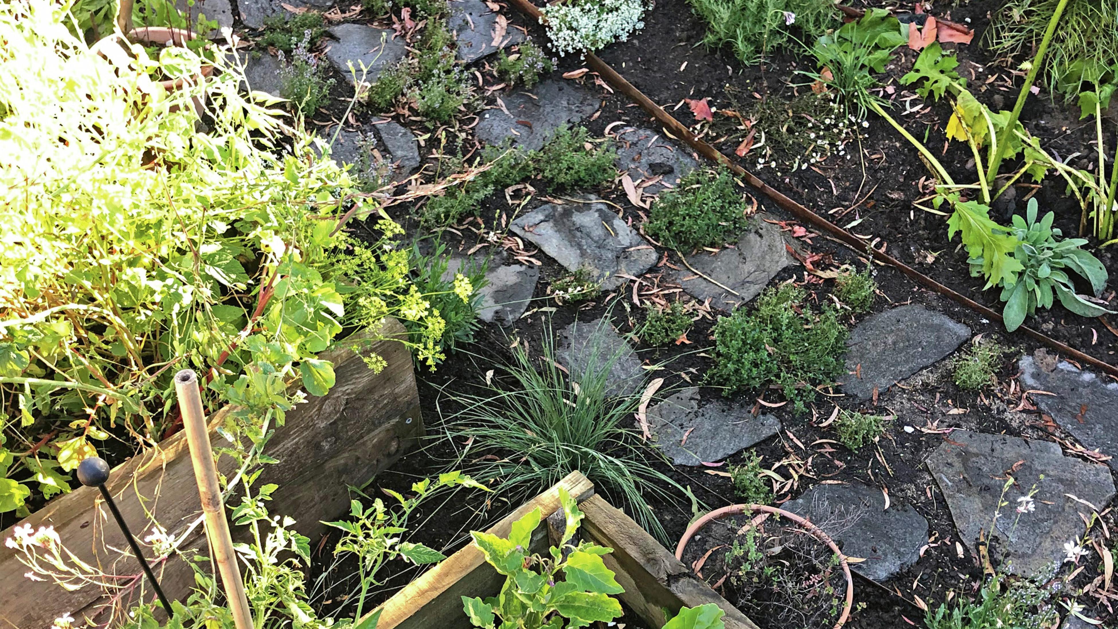 How To Lay Crazy Stepping Stones Bunnings Australia