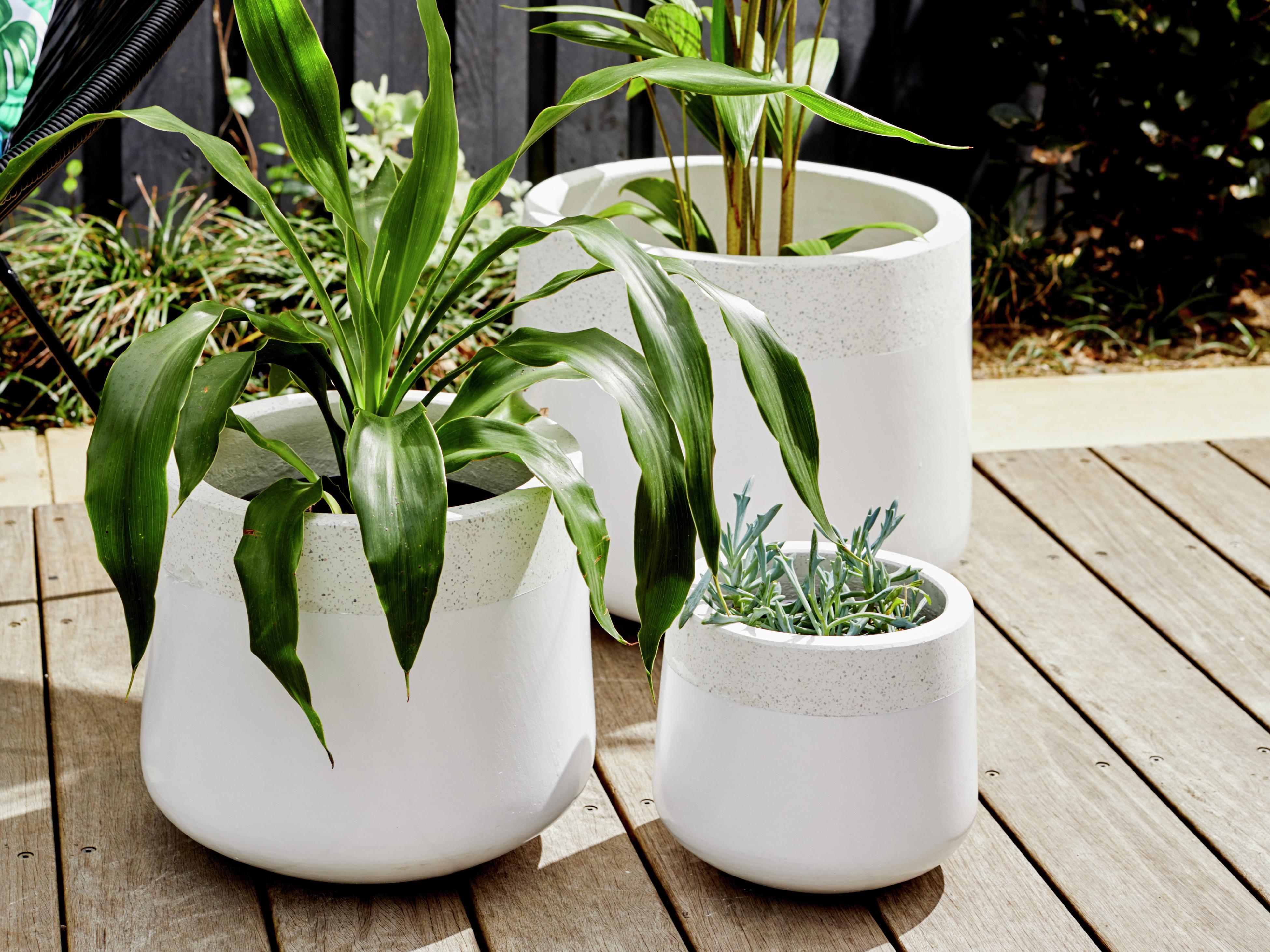 Bunnings pots deals