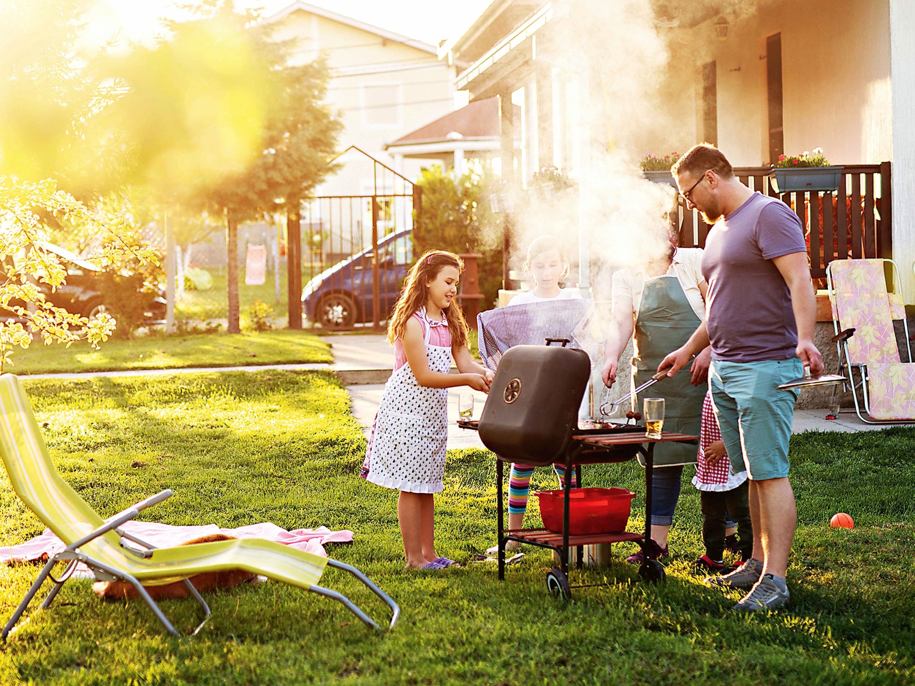 Natural Ways To Banish Flies And Mosquitoes From Your Home - d2ndpzv