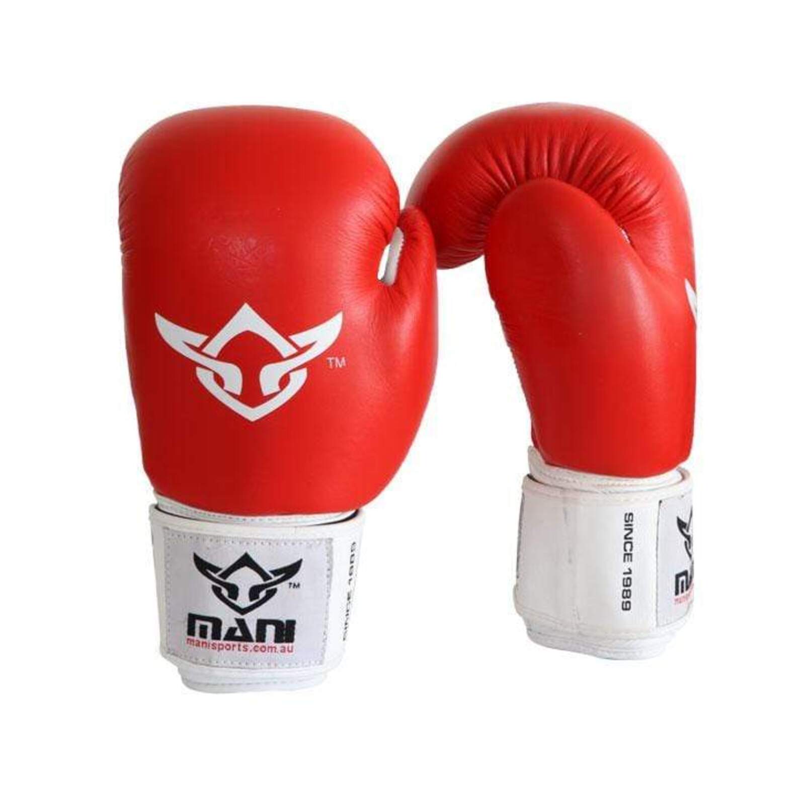 Leather ProSparring Boxing Gloves 10oz Bunnings Australia