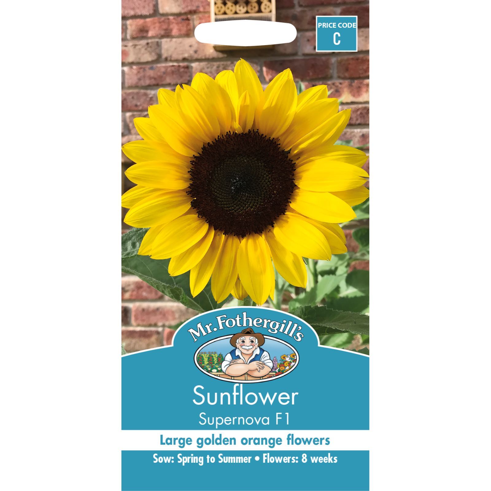 Mr Fothergill's Sunflower Supernova F1 Flower Seed - Bunnings Australia