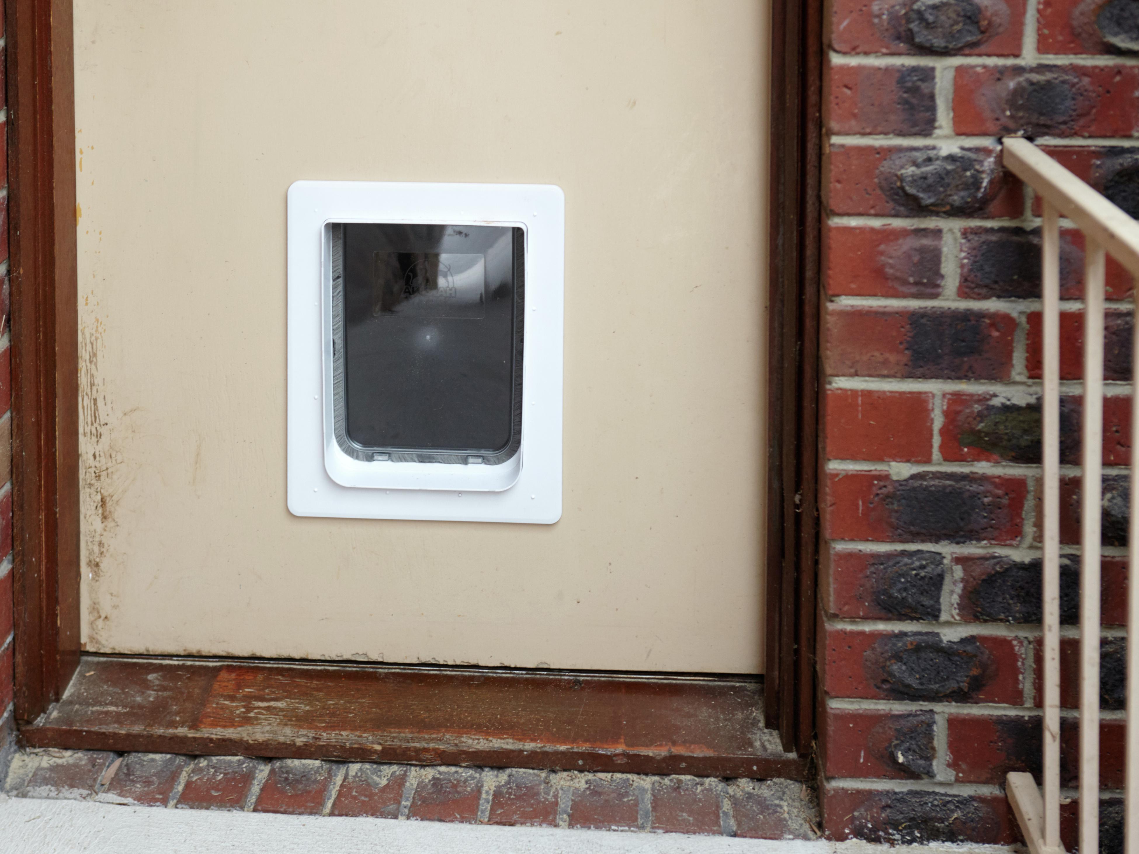 Installing a cat door in a garage door best sale