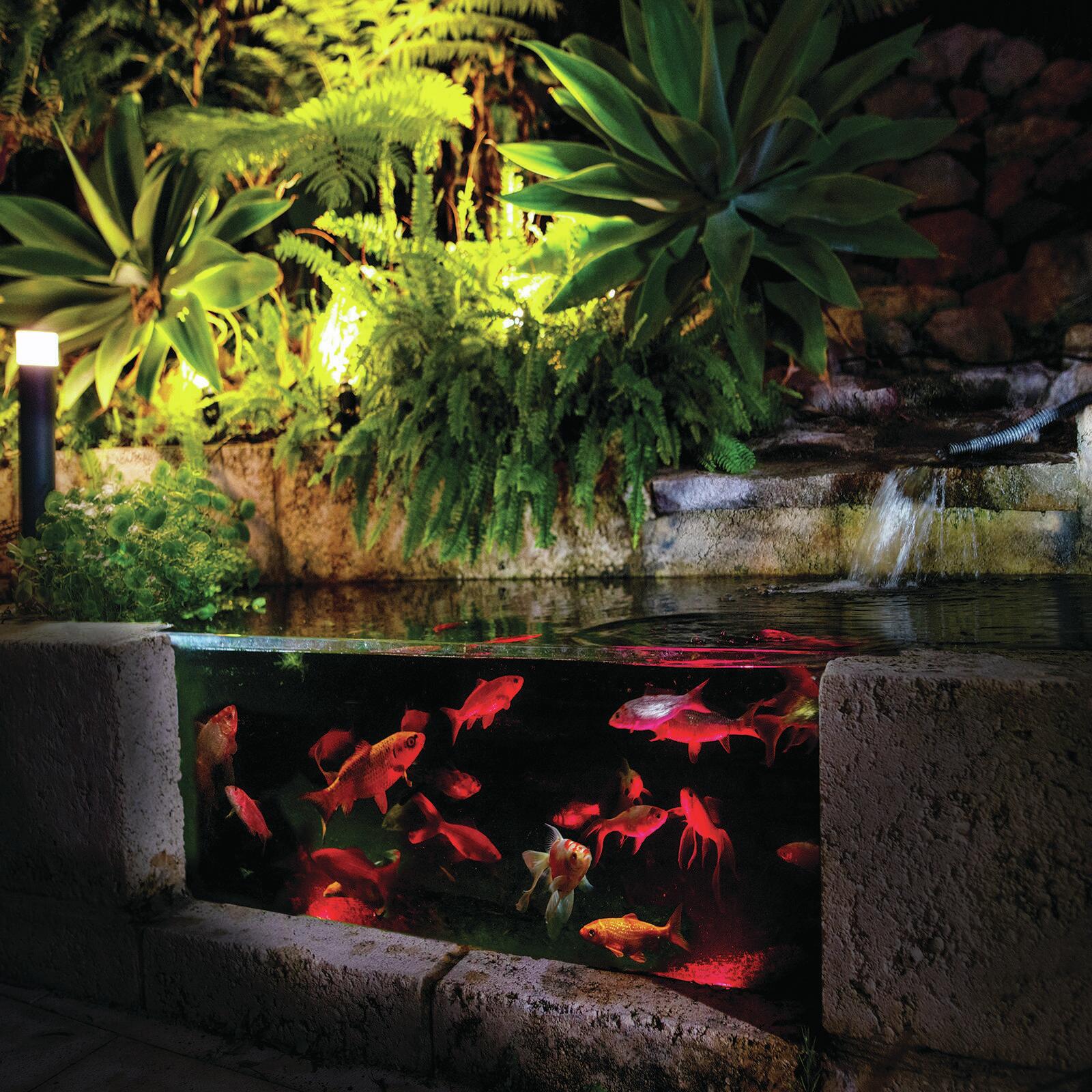 Holman RGB Colour Pond Light 3 Pack Bunnings Australia