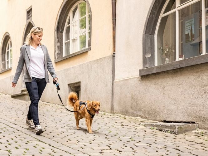 Lady walking dog down cobble street