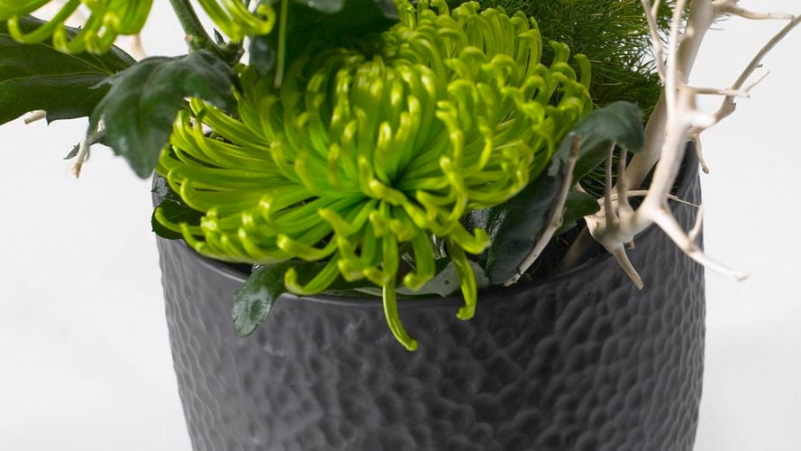 SK Anthracite Boston Ceramic Pot 0193155