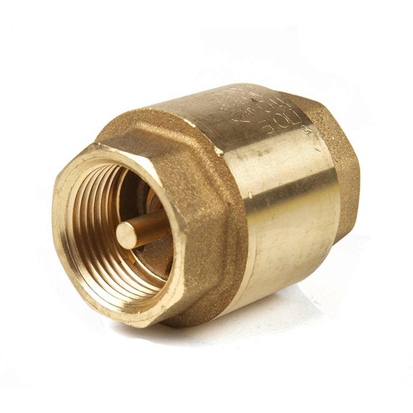 Bugatti Euro2000 Spring Check Valve 20mm Bunnings New Zealand