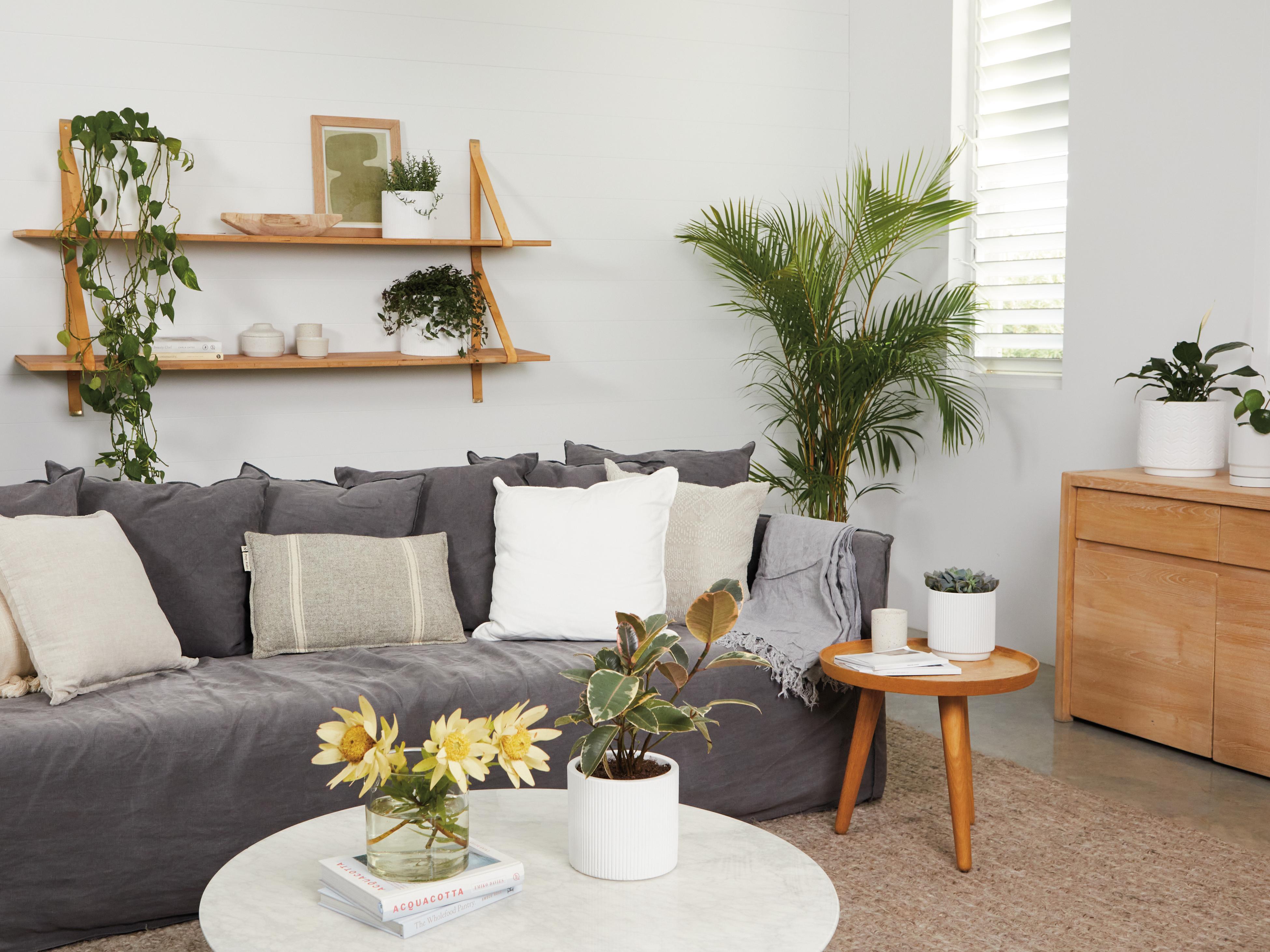 How To Decorate With Potted Plants Bunnings New Zealand