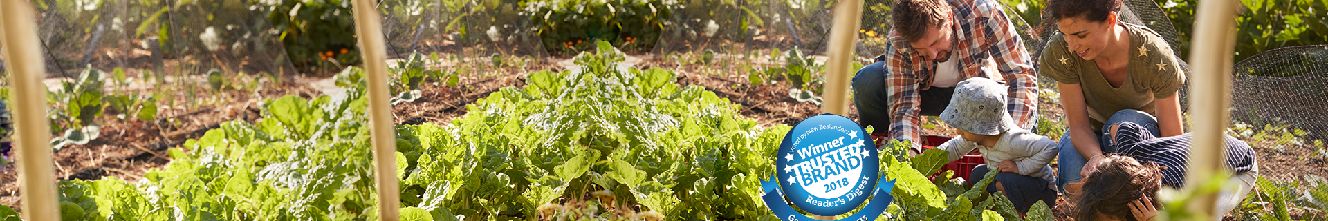 Family picking lettuce in a small farm. Winner trusted brand 2018 logo.