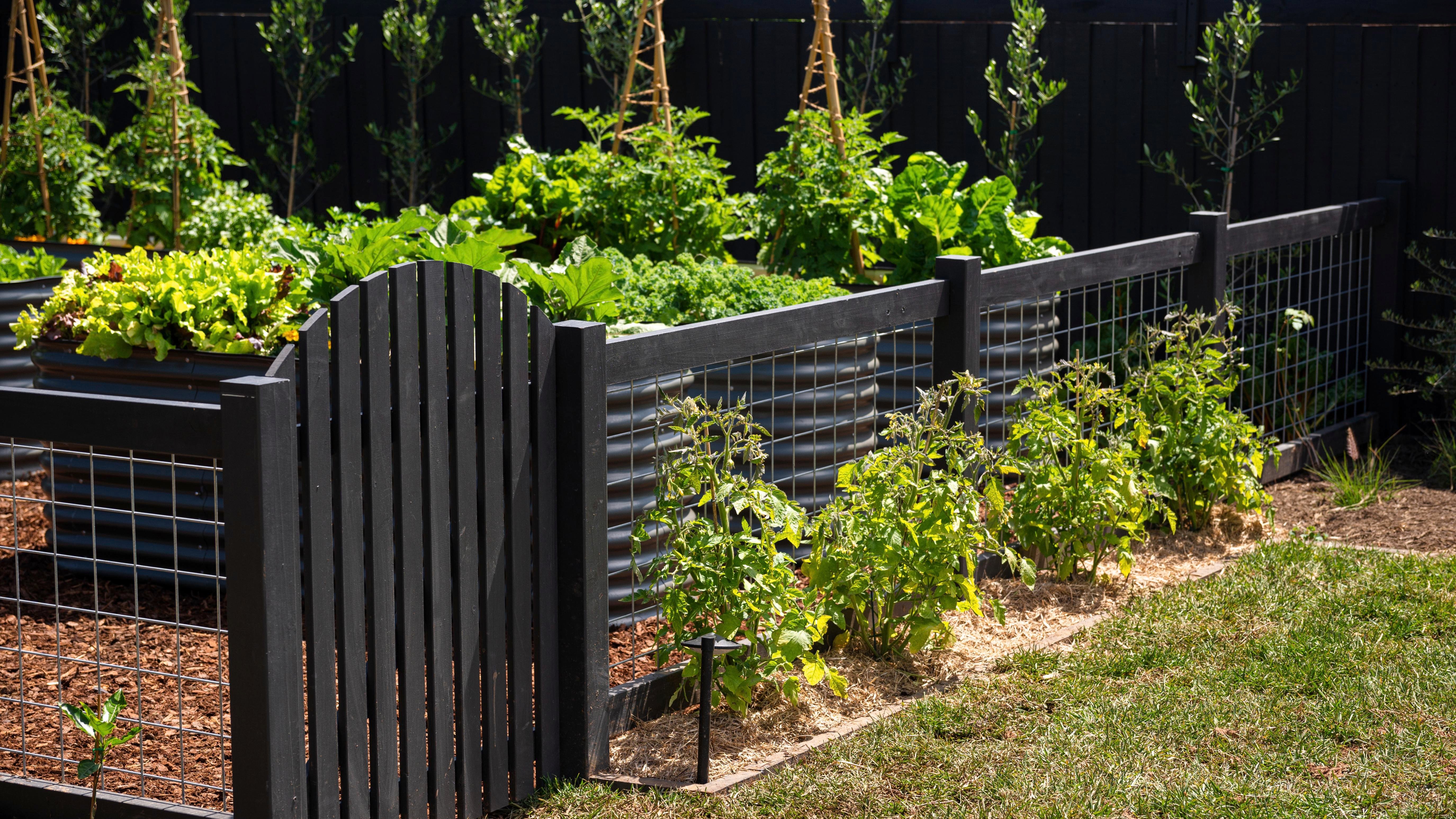 How To Build A Vegie Garden Fence - Bunnings Australia