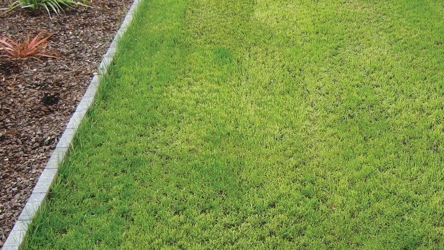 Outdoor area with grass grade installed 