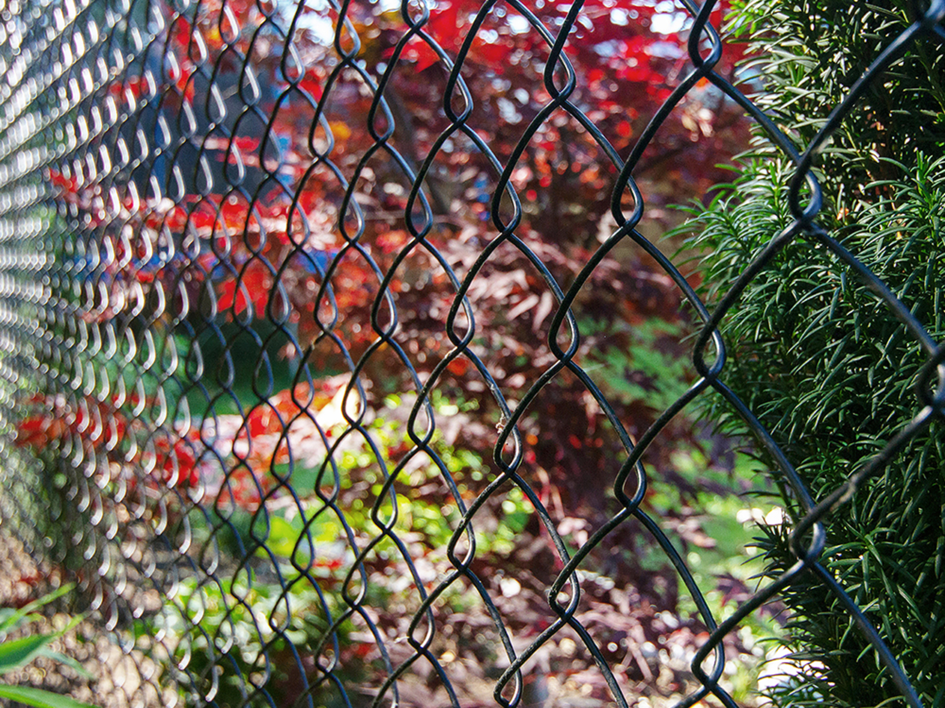 Wire deals fencing bunnings