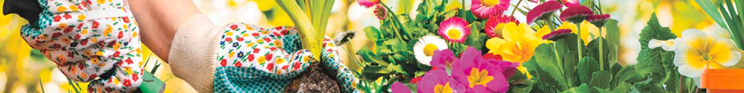 Person planting plants in garden bed