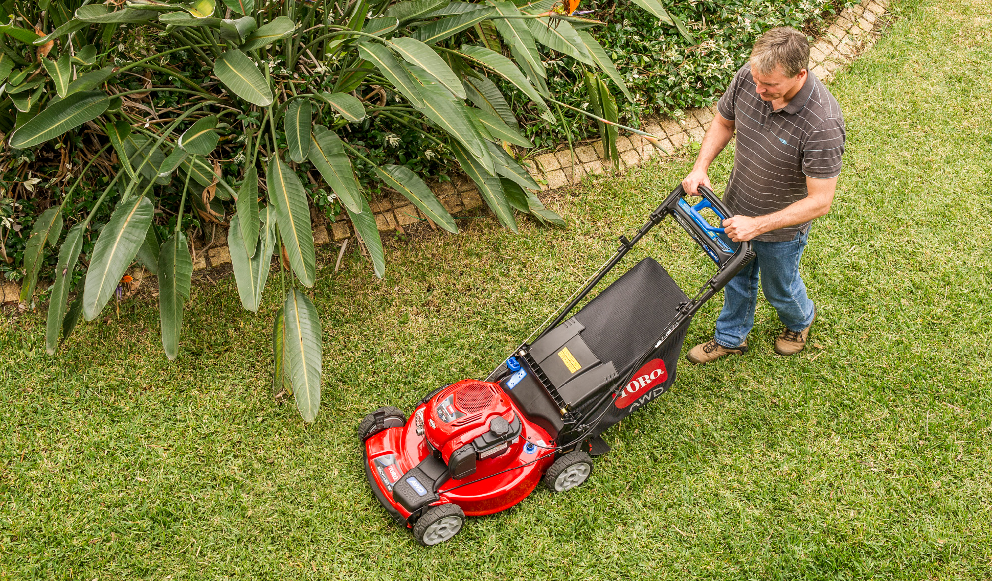 Bunnings toro online mower