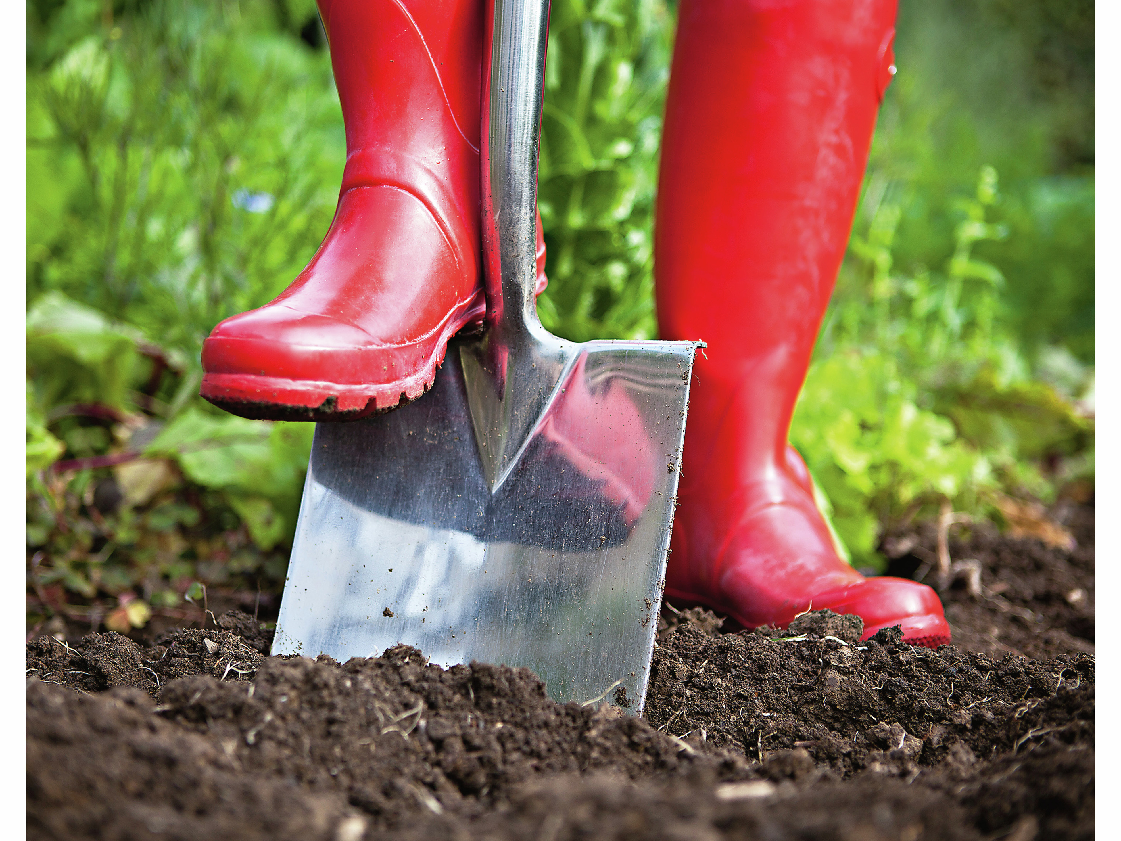 Red gumboots best sale