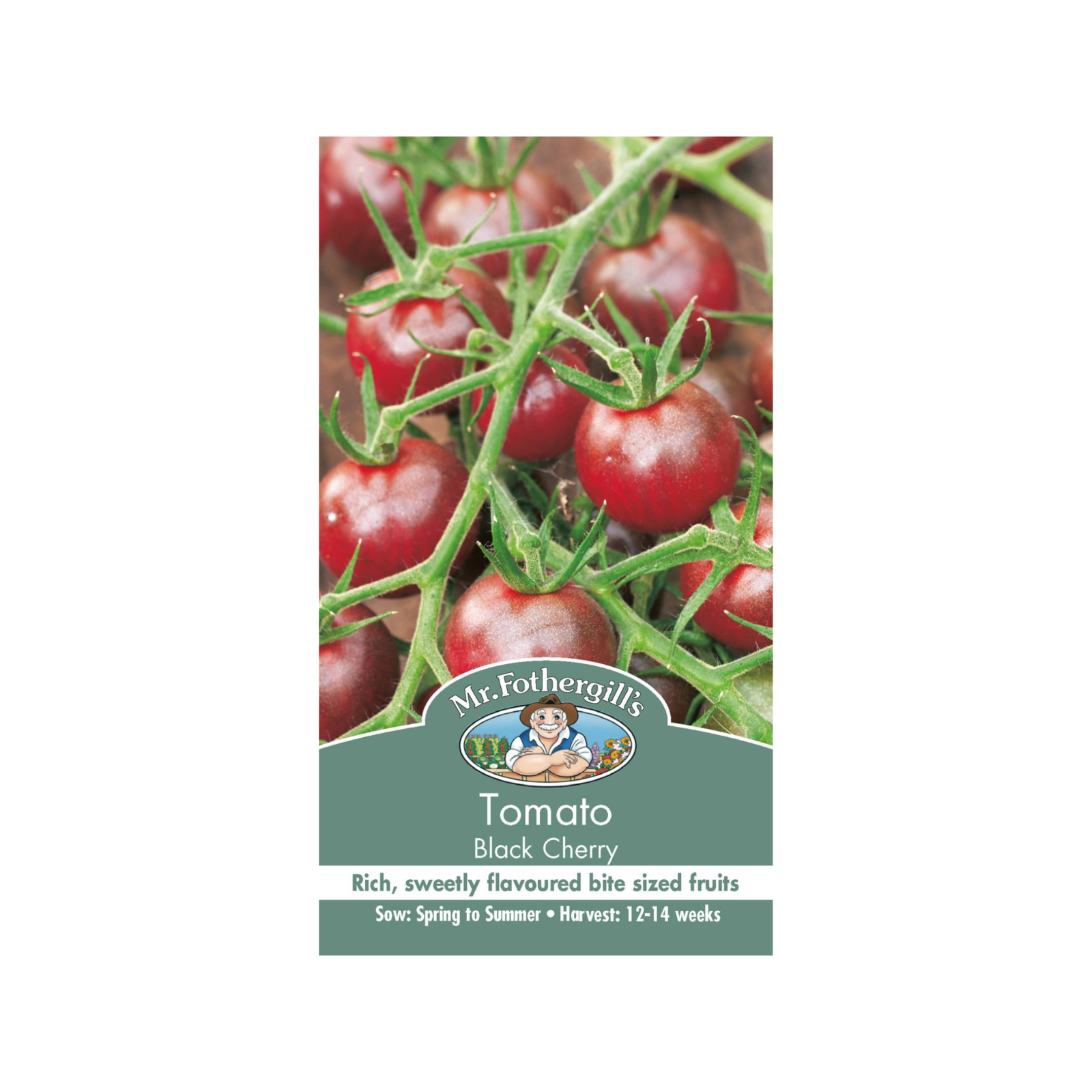 Mr Fothergill's Tomato Black Cherry Seeds Bunnings Australia