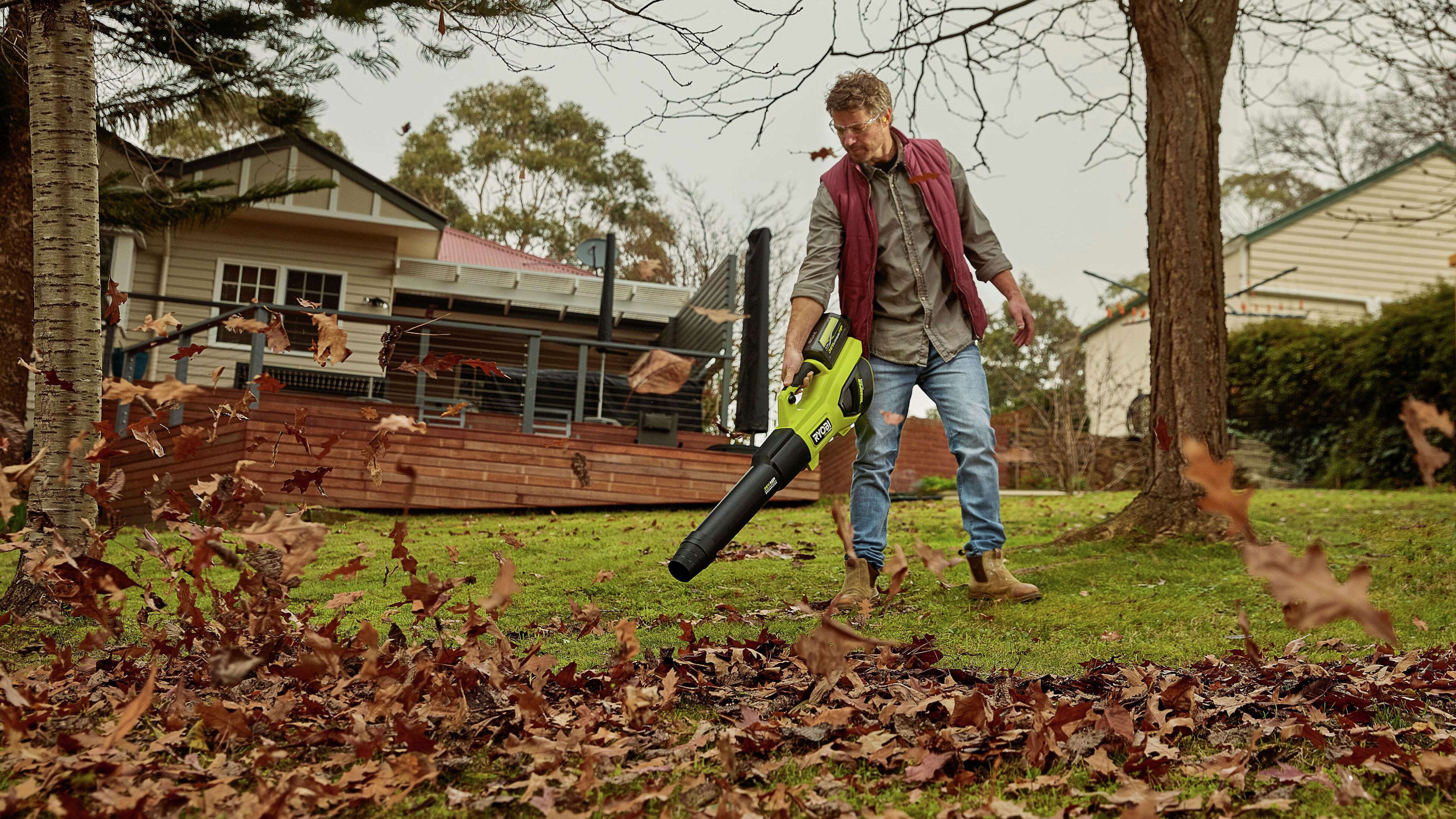 Ryobi discount dethatcher bunnings