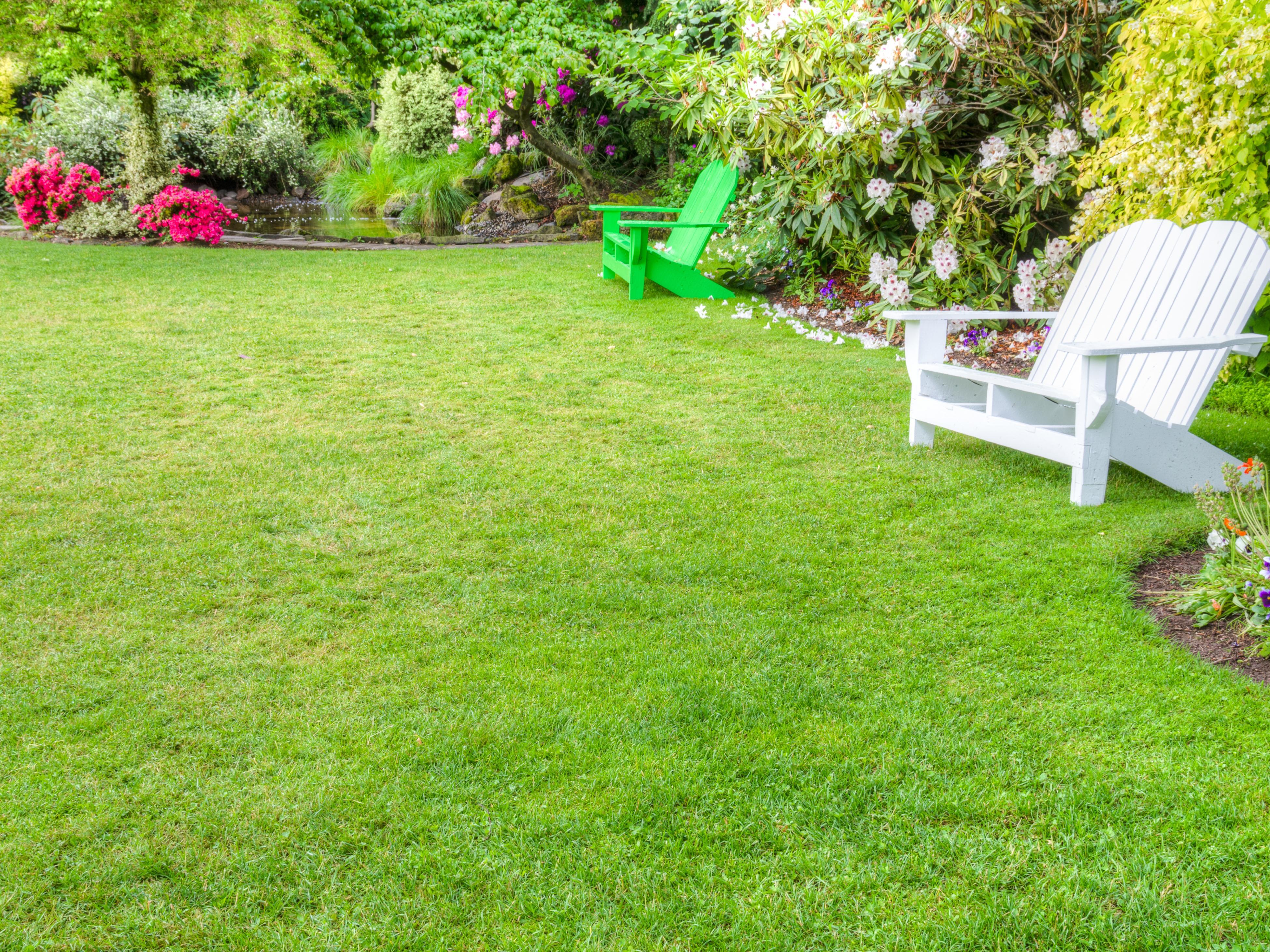 Yard grass best sale