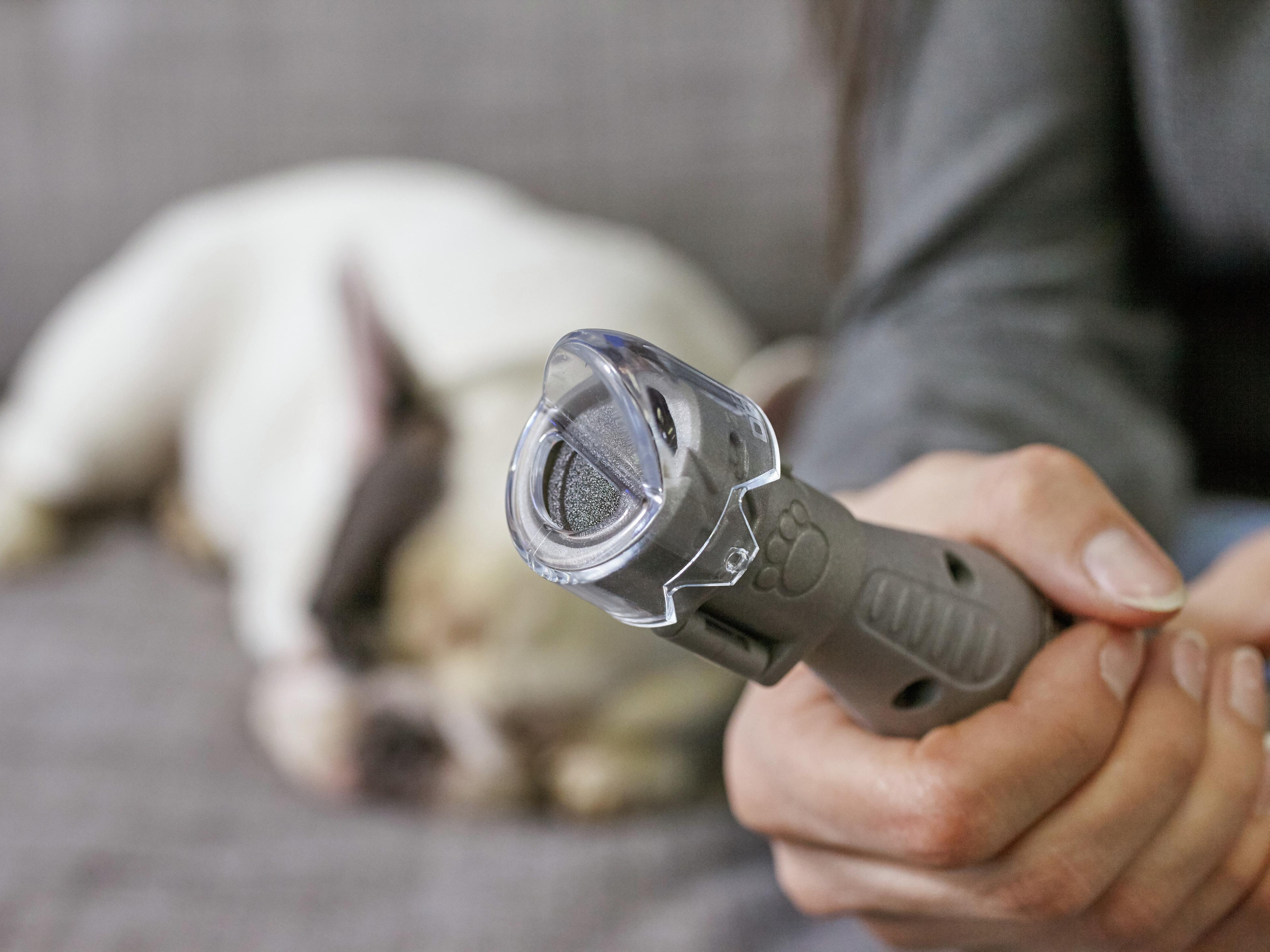 Silent dremel store for dog nails