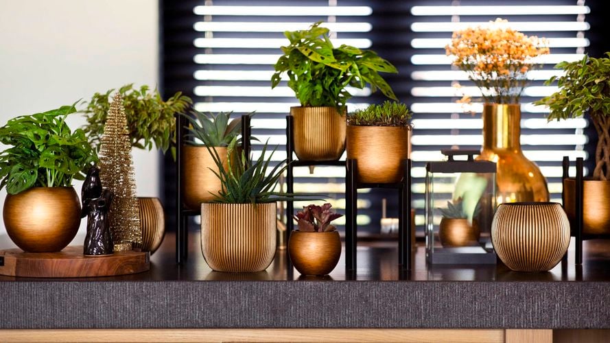 Capi Europe Indoor pot