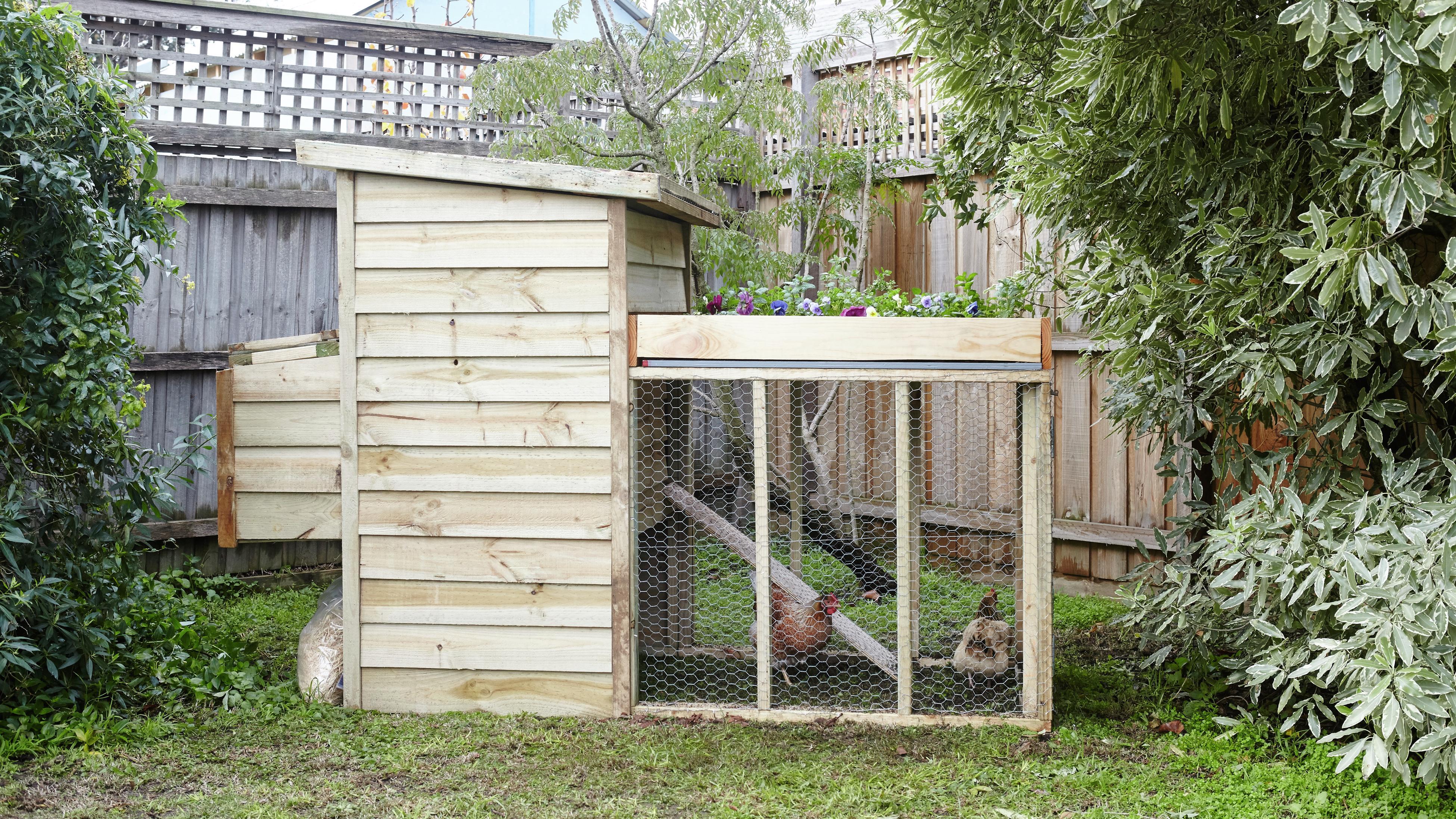 How To Build a D.I.Y. Chicken Coop - Bunnings Australia