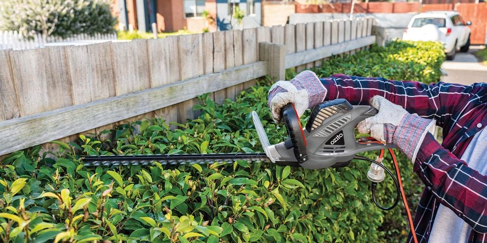 Person in front yard trimming hedge with Ozito corded hedge trimmer