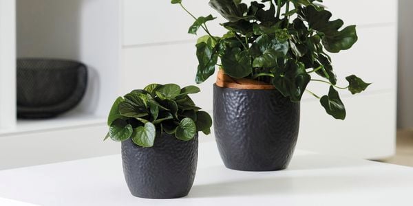 Two dark grey small pots