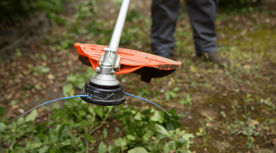 Person using trimmer to trim hedges