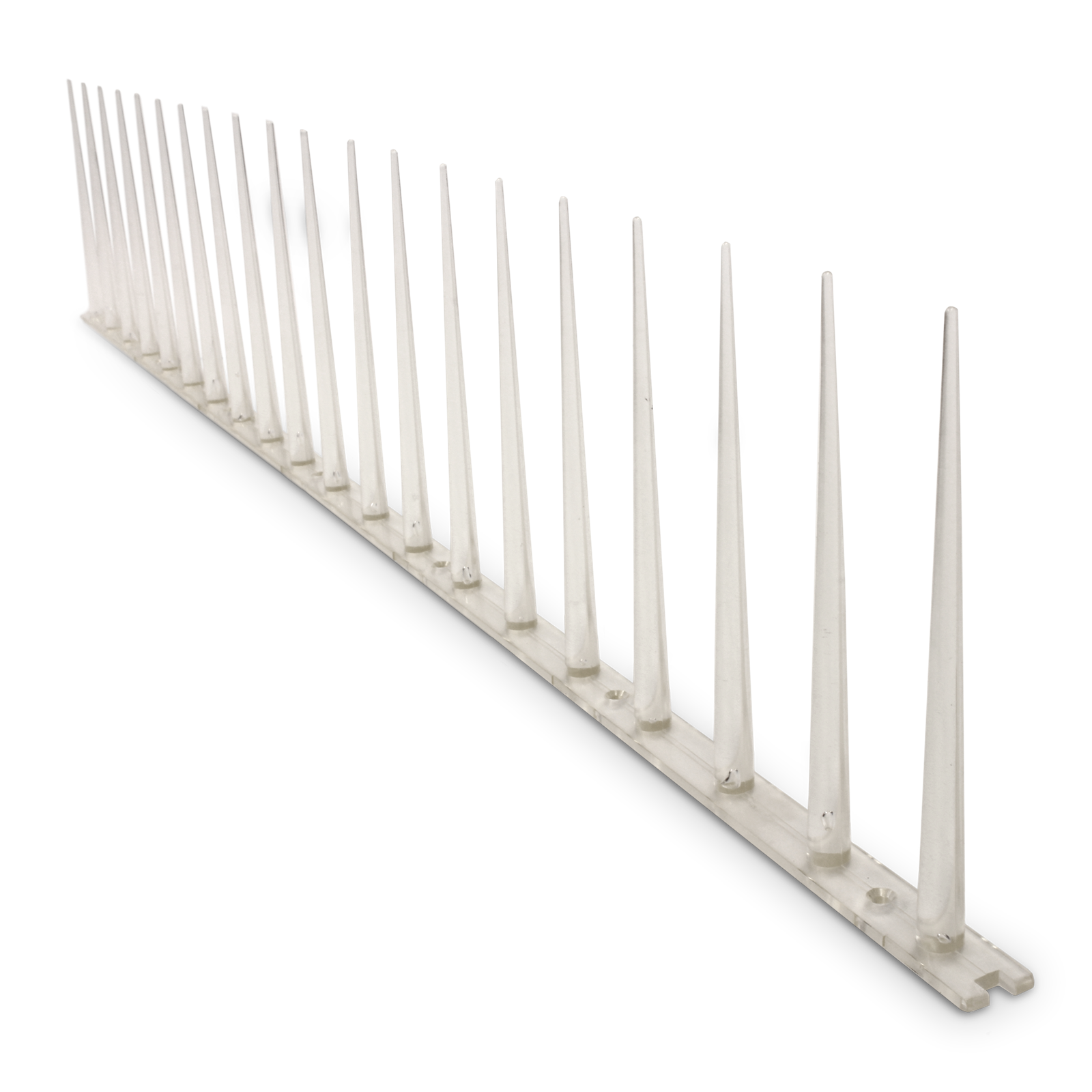 Jack 600mm Anti Bird Pest Control Spike Bunnings Australia