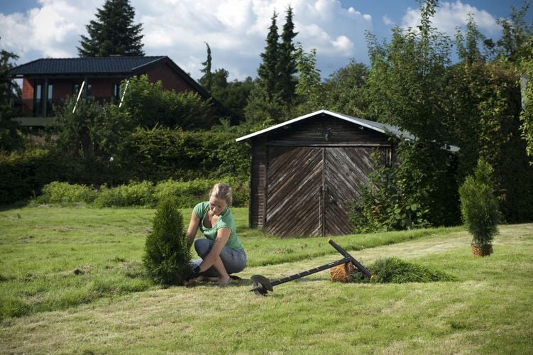 Woman holding plant in preparation to place in hole