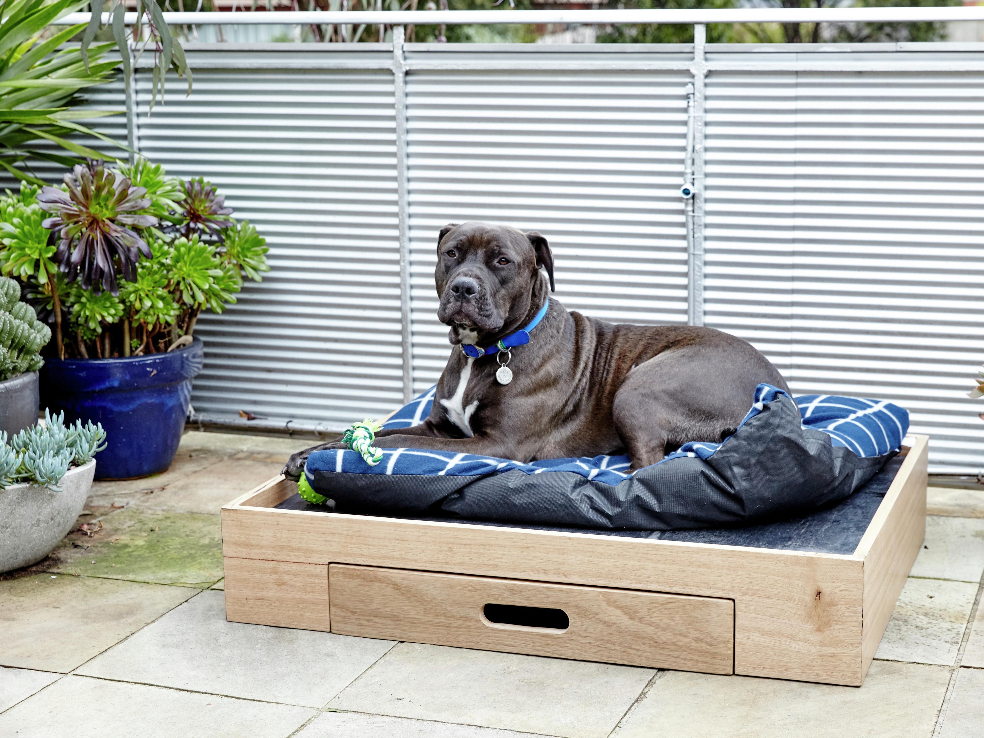 Dog deals bedding bunnings