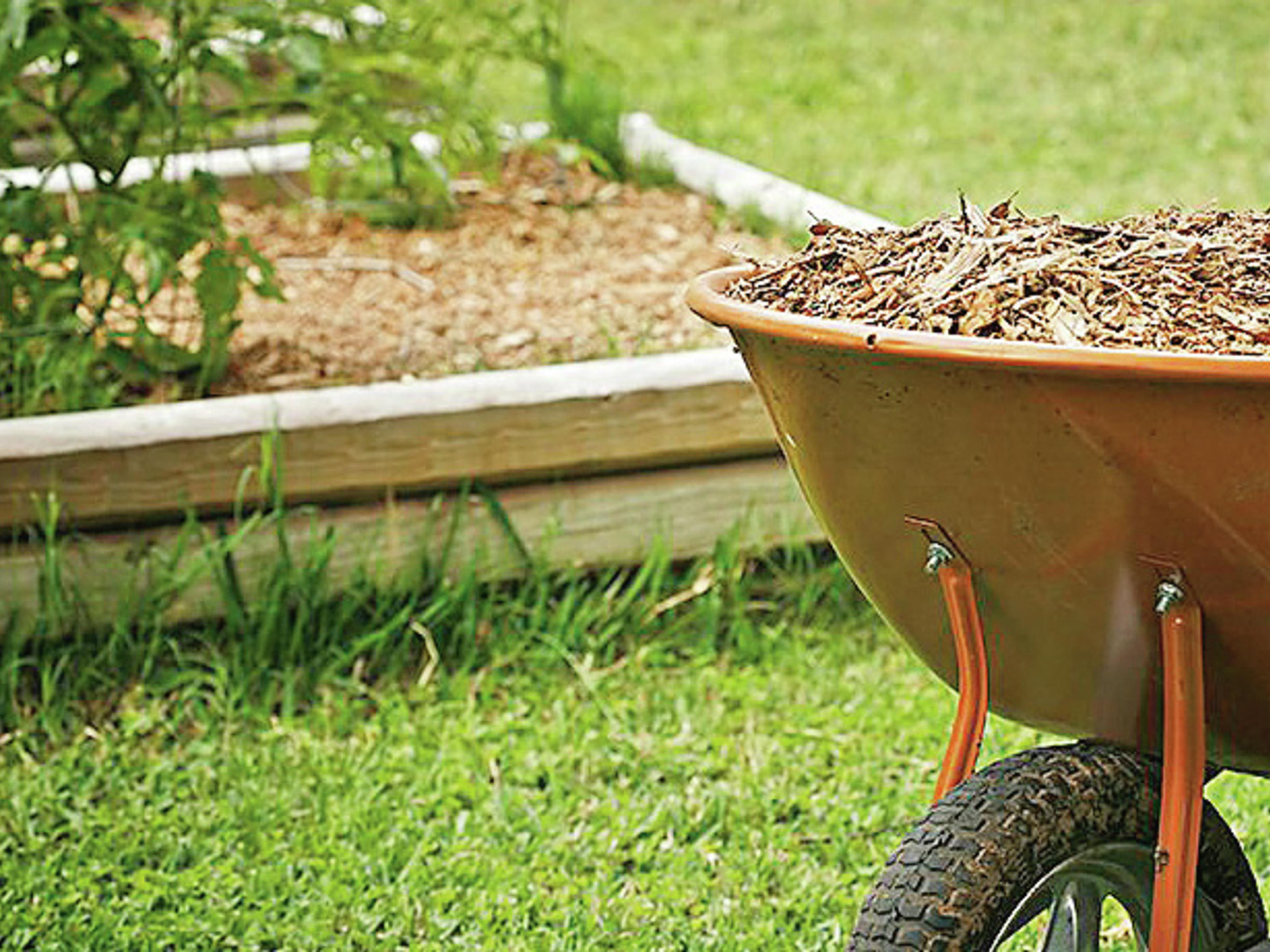 Everything Need To Know About Mulch - Bunnings Australia