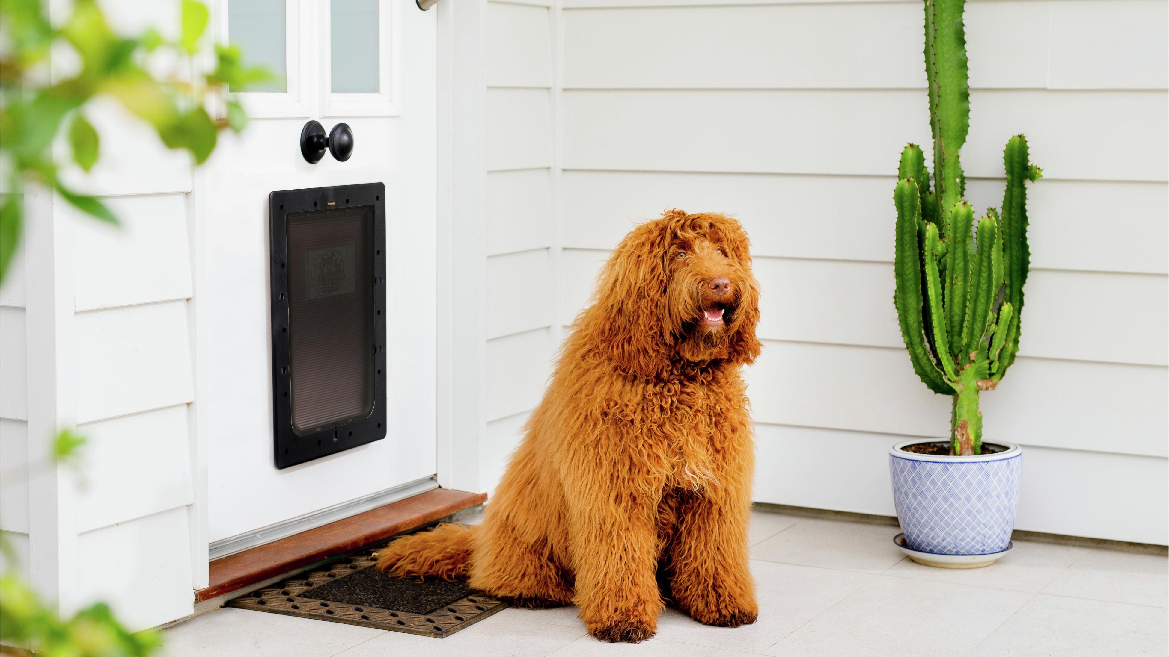 Pet door for discount sliding door bunnings