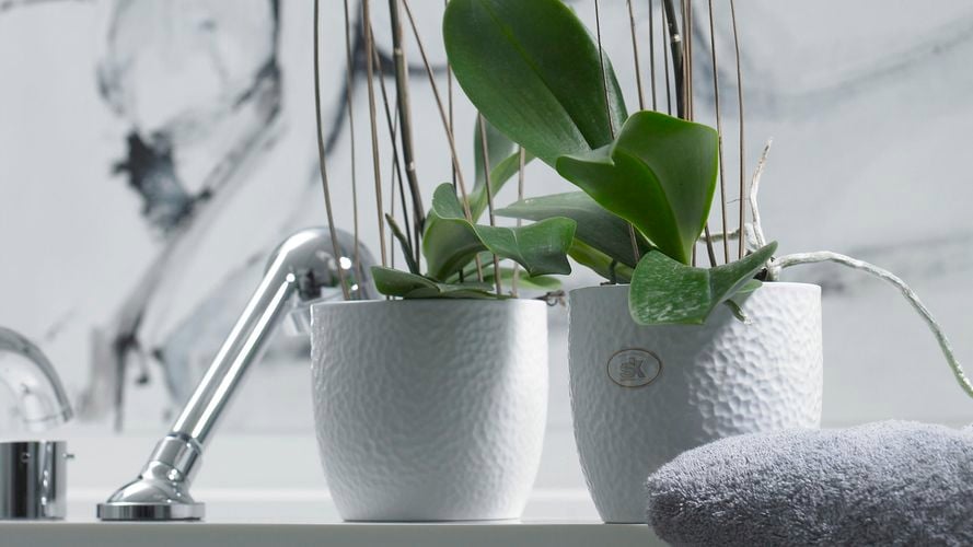 SK White Boston Ceramic Pot 0193153