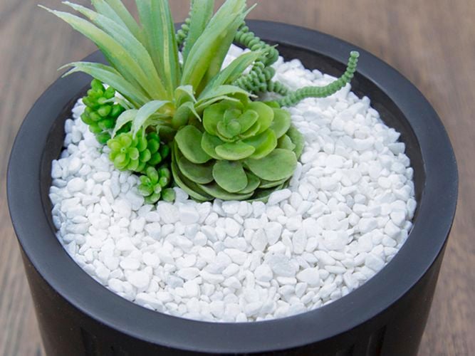 White Decorative Pebbles in a Black Pot