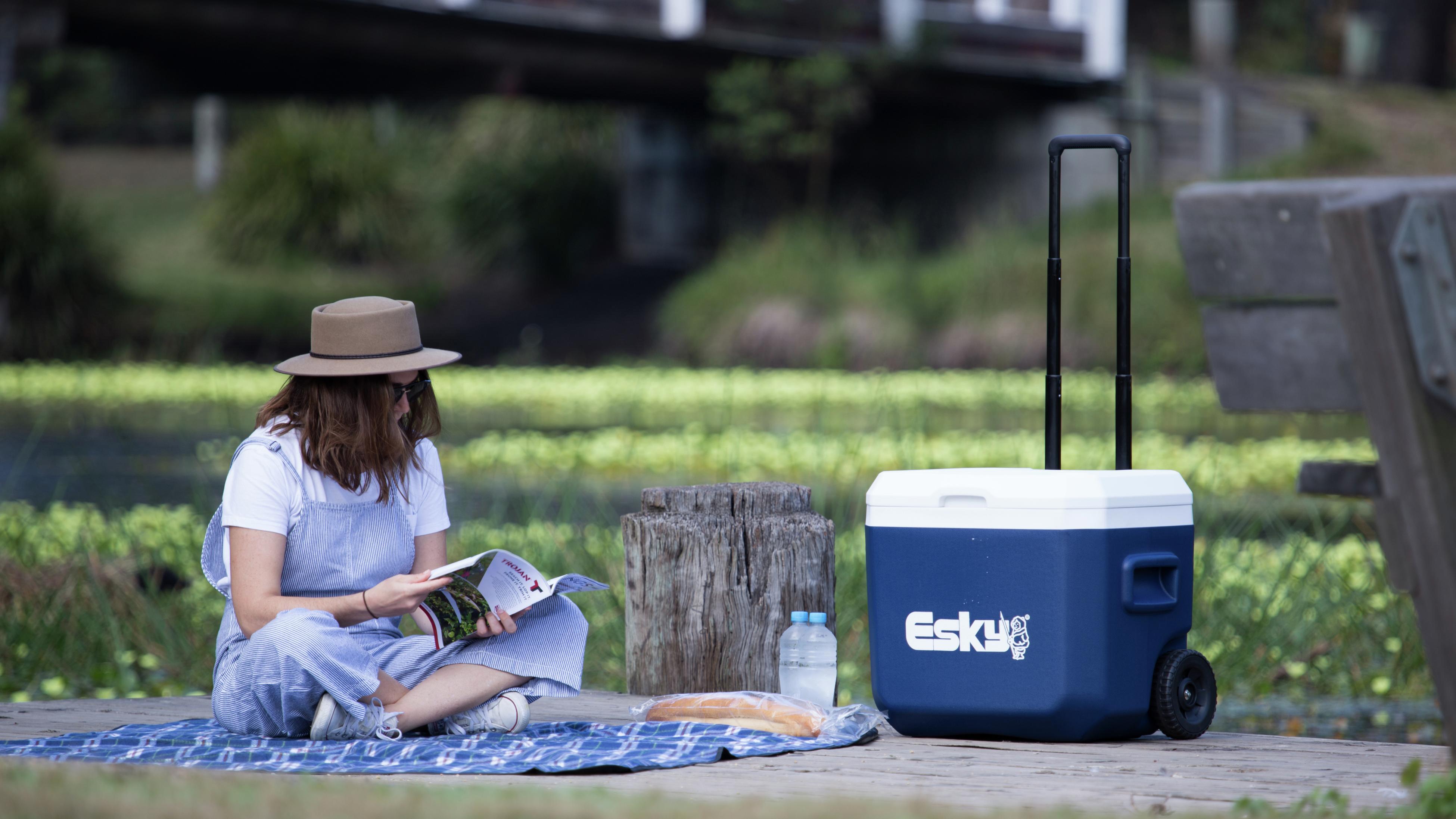 Bunnings store esky plus