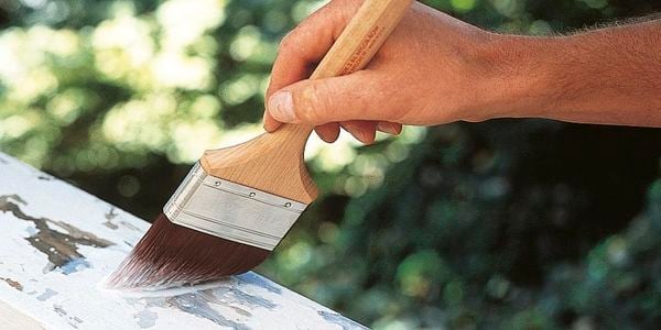 person painting fence