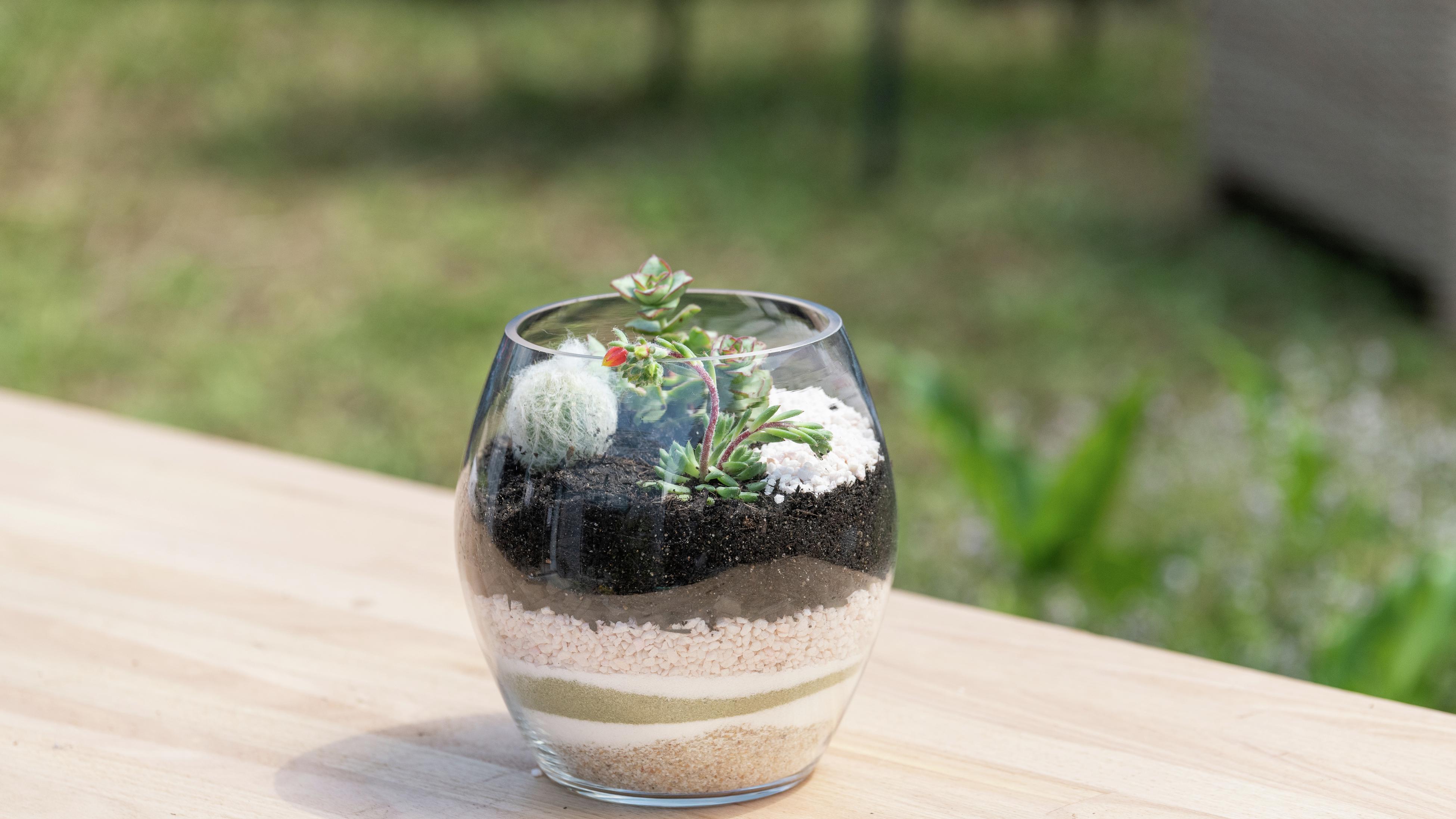 How To Make A Terrarium Bunnings Australia