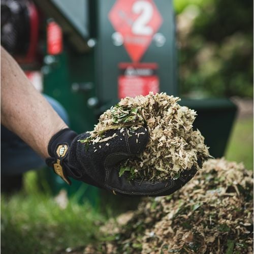 Person holding a handful of mulch