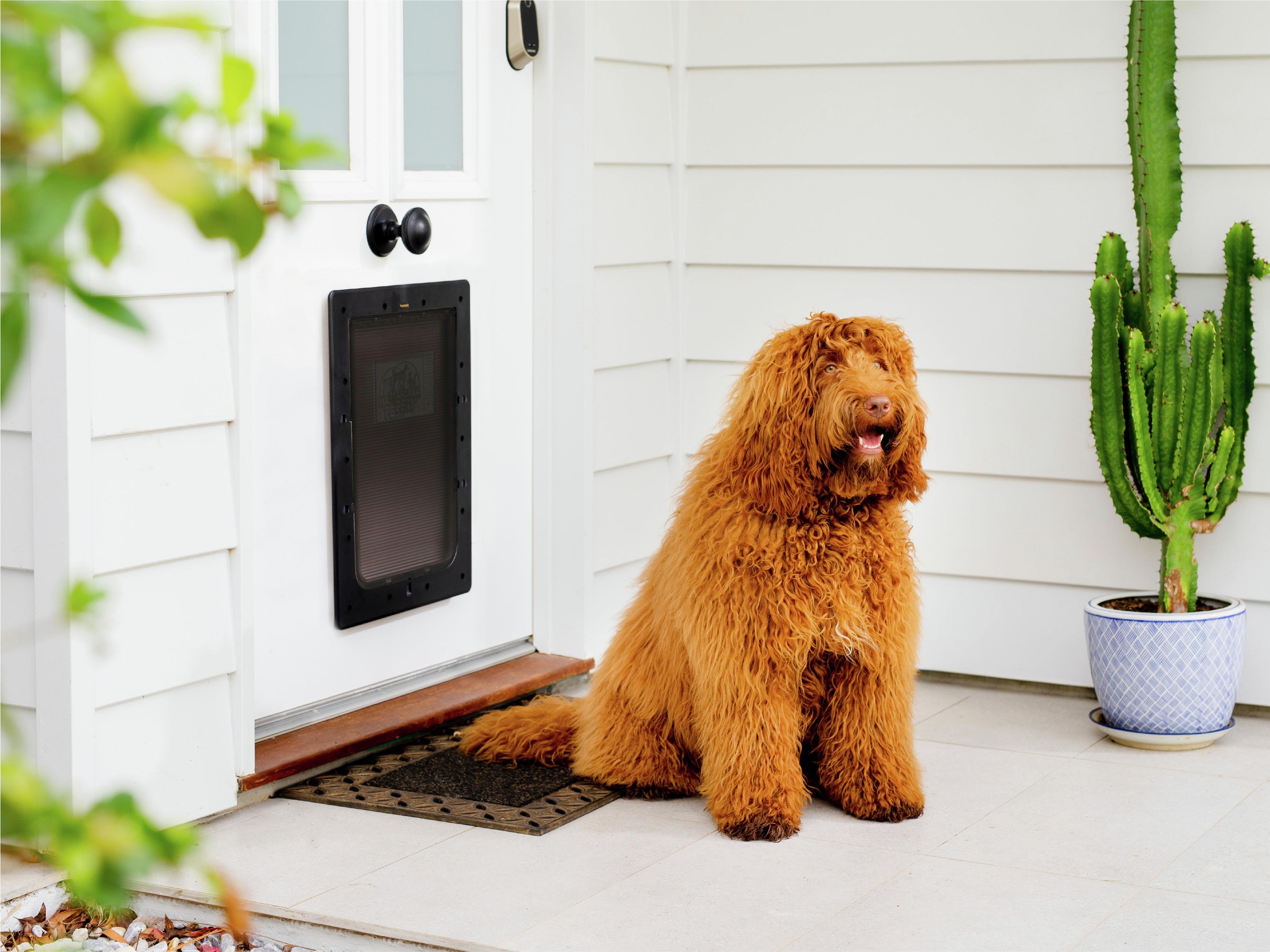 bunnings sliding dog door