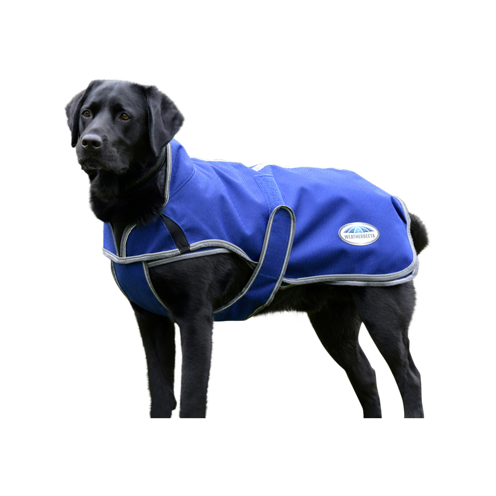 Weatherbeeta Comfitec Premier Free Parka Hundemantel – Wasserdicht, Wärmend & Mit Reflektierenden Details
