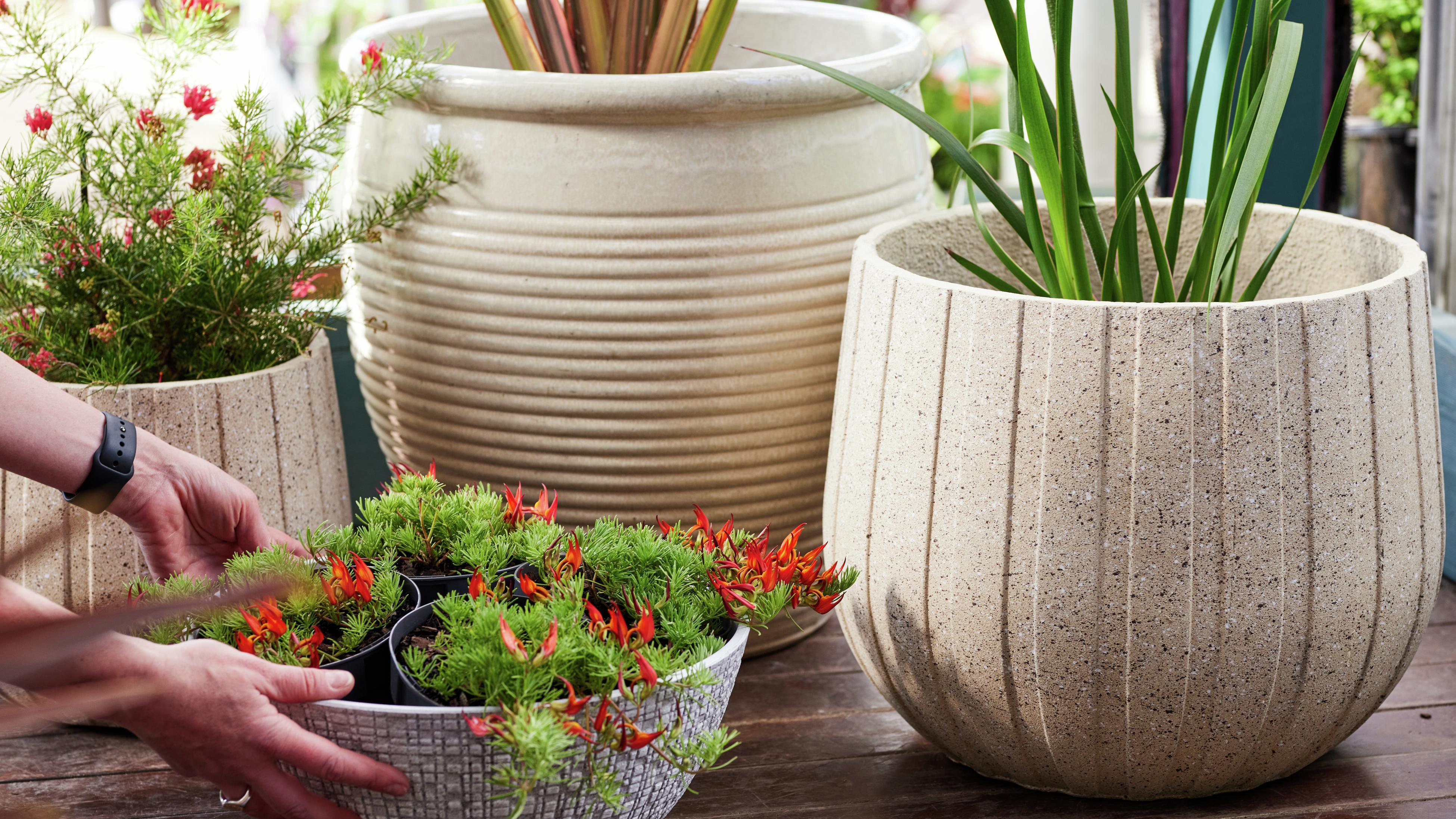 Bunnings outdoor store pots