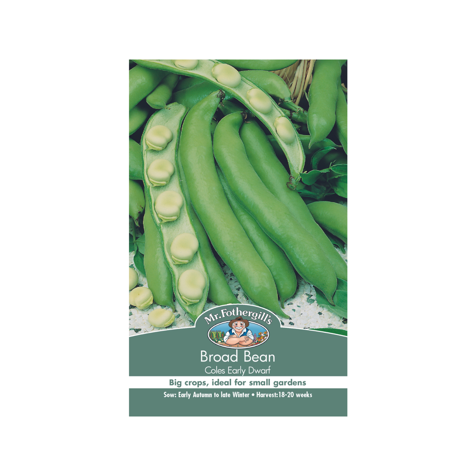 Mr Fothergill's Coles Early Dwarf Broad Bean Vegetable Seeds Bunnings