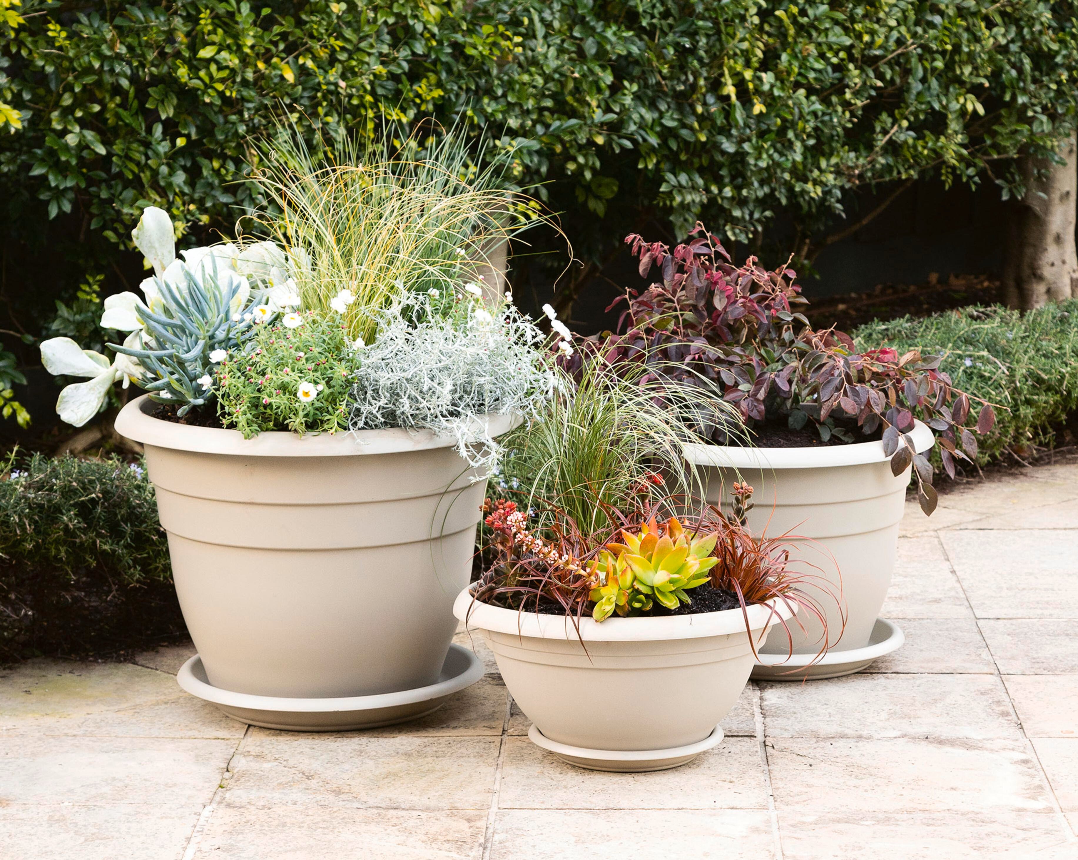 How To Master The Art Of Styling Potted Plants Bunnings Australia