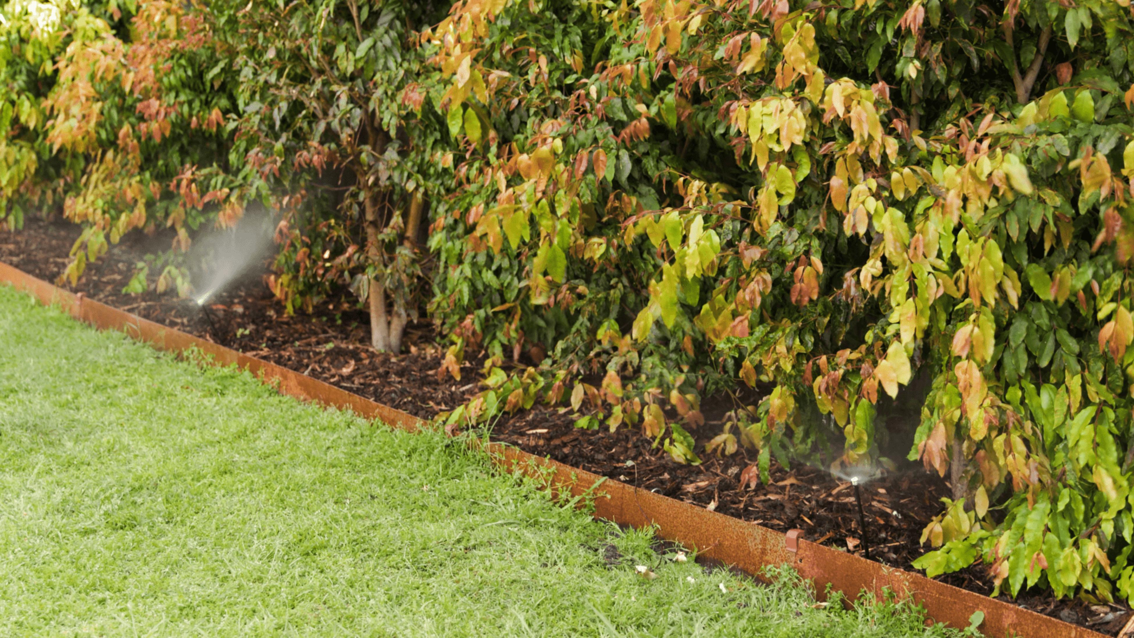 Shape Up Your Garden And Outdoor Area Bunnings Australia